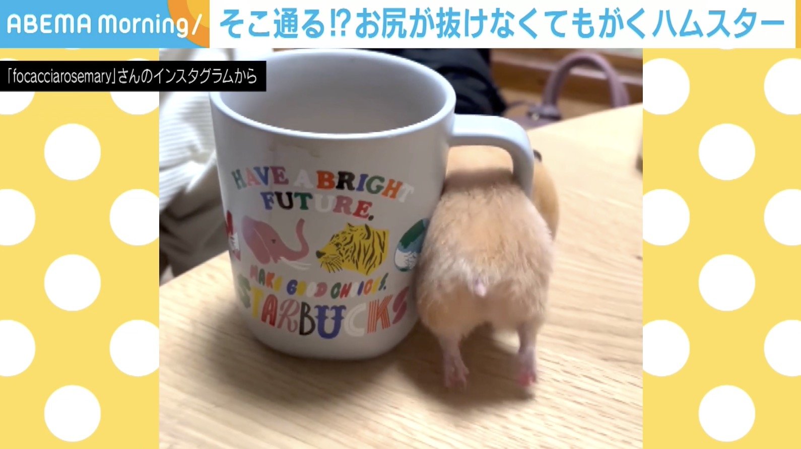 写真・画像】マグカップの取っ手からお尻が抜けない！悶絶必至の