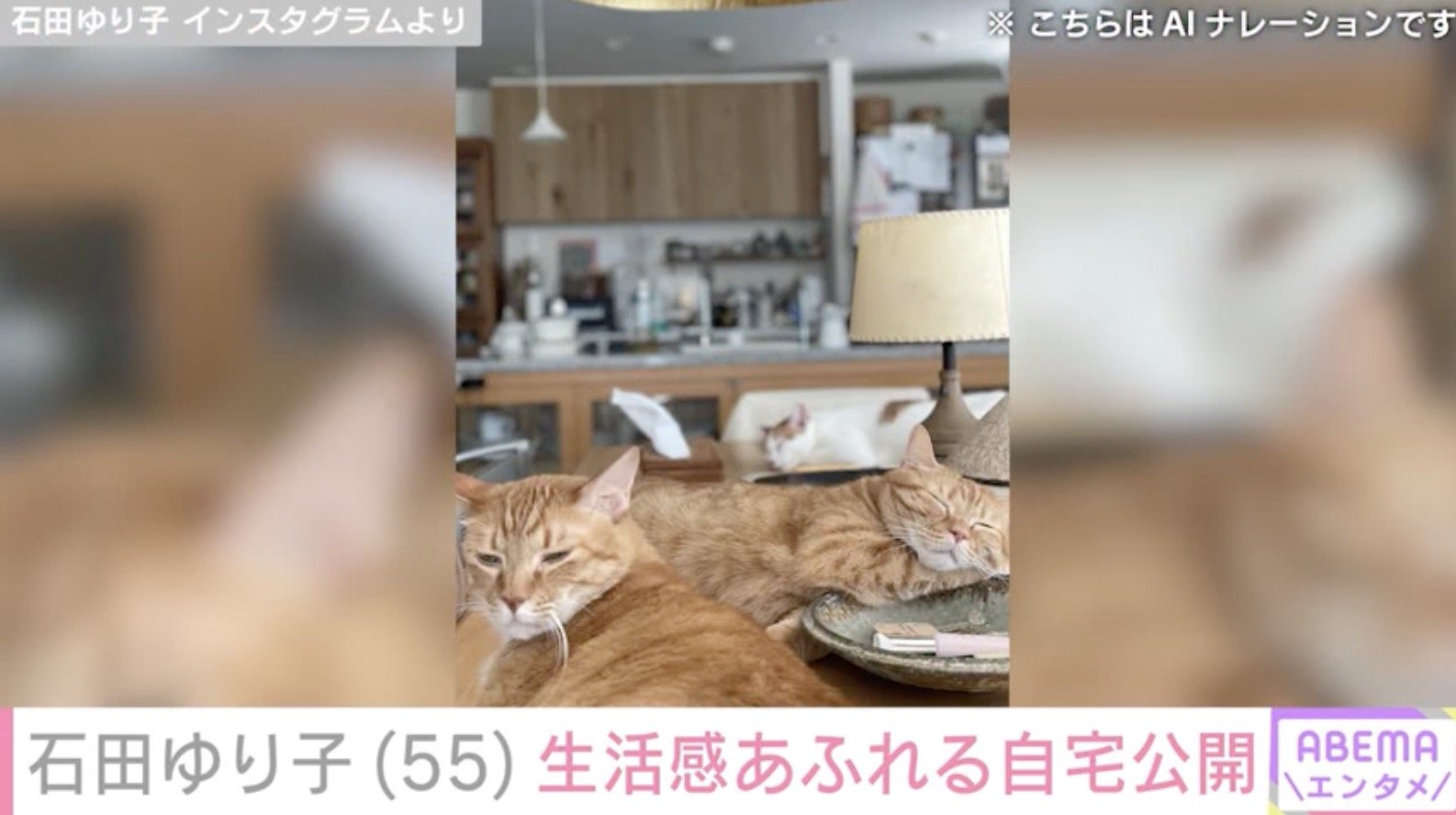 写真・画像】石田ゆり子（55）、生活感あふれる自宅に反響「1番幸せな