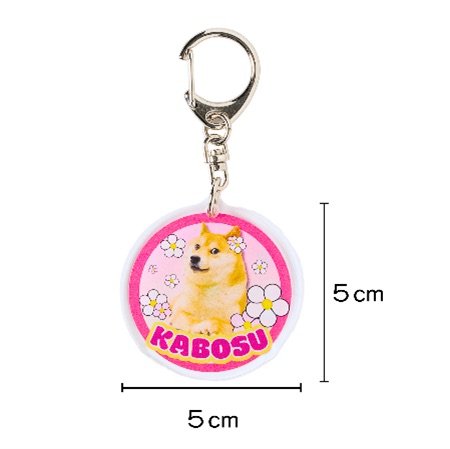 写真・画像】ネットミーム“Doge”のモデル柴犬「かぼすちゃん」 生涯を