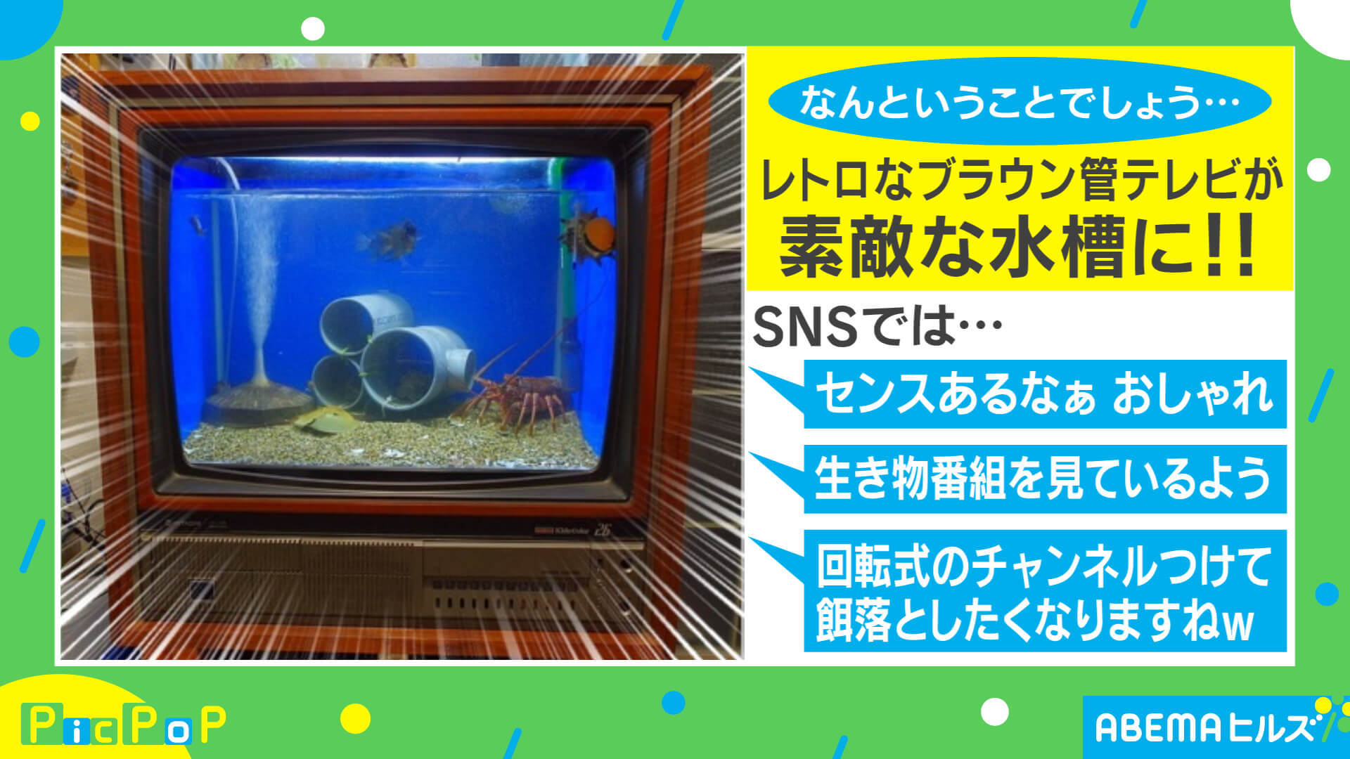 写真・画像】「餌落としたい」レトロなブラウン管テレビが“水槽”に！ 劇的リサイクルに反響相次ぐ 2枚目 | 国内 | ABEMA TIMES |  アベマタイムズ