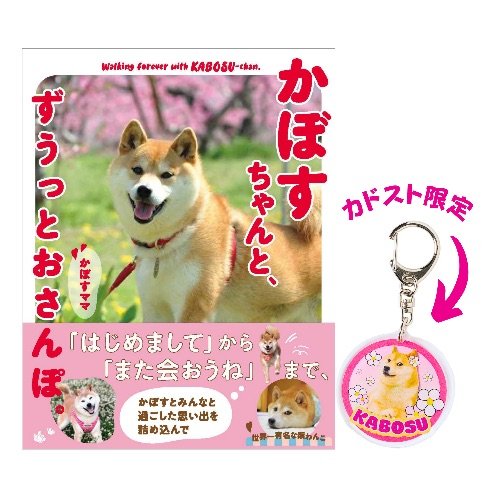 写真・画像】ネットミーム“Doge”のモデル柴犬「かぼすちゃん」 生涯を