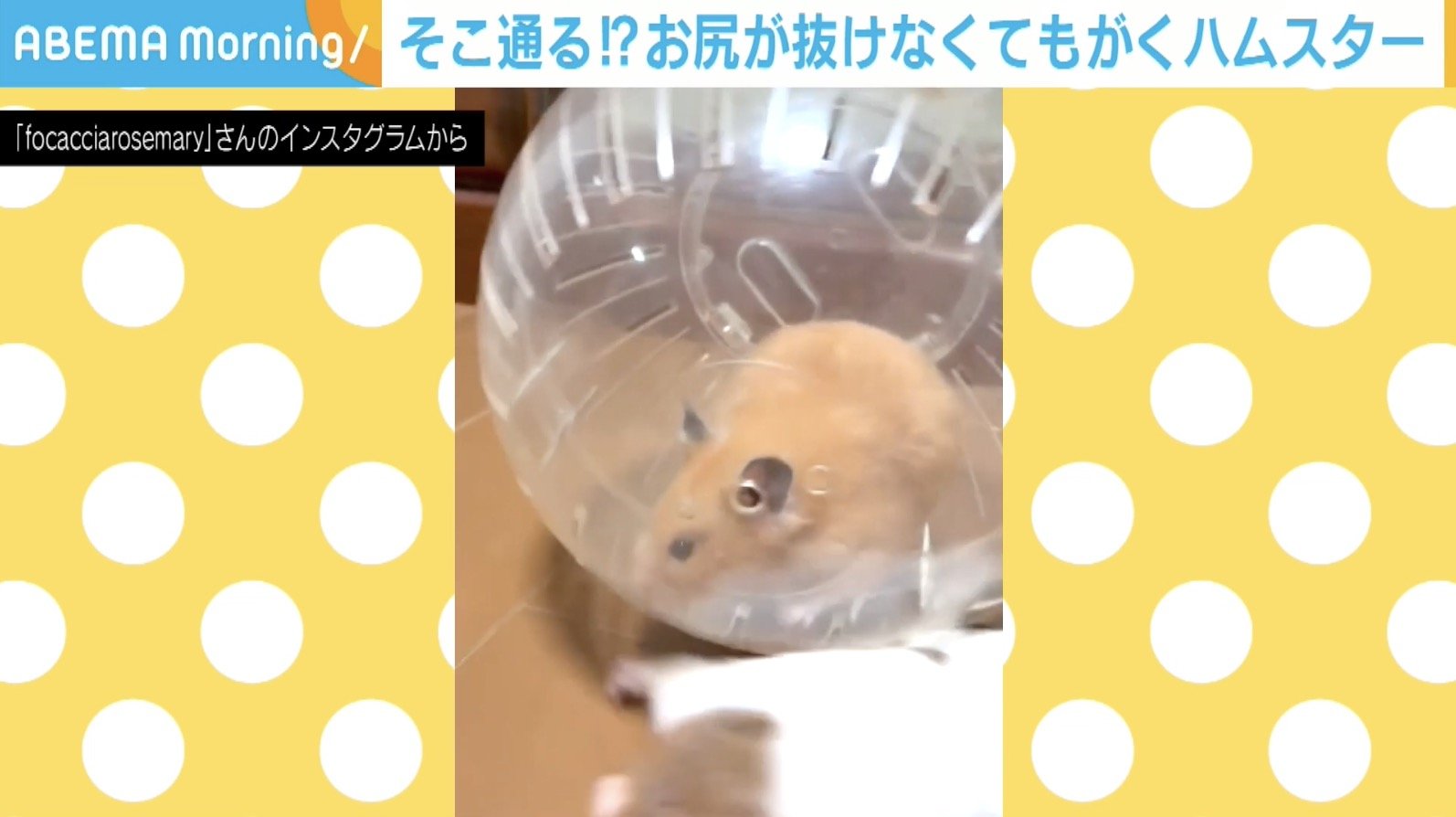 写真・画像】マグカップの取っ手からお尻が抜けない！悶絶必至の