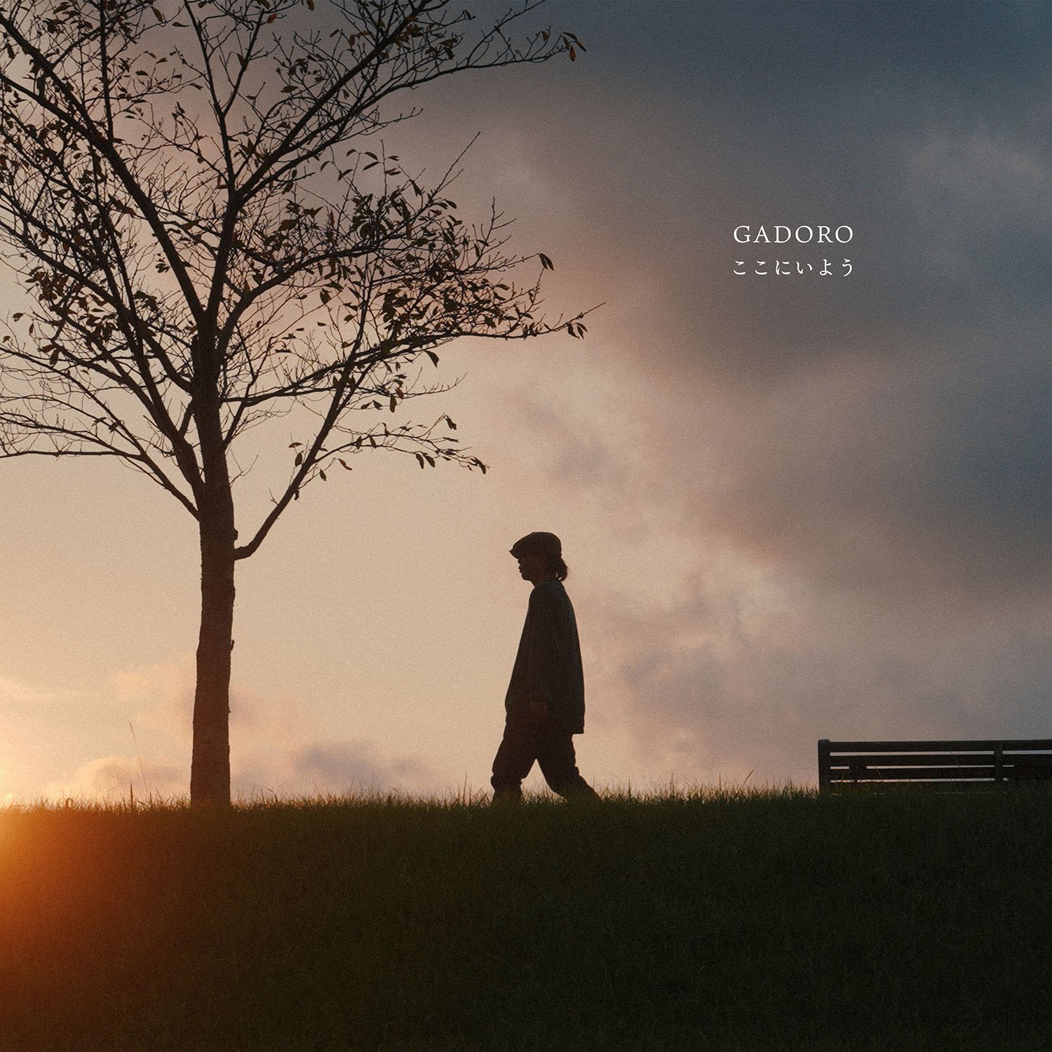 img_6f54c351ff43f622534ddcf993