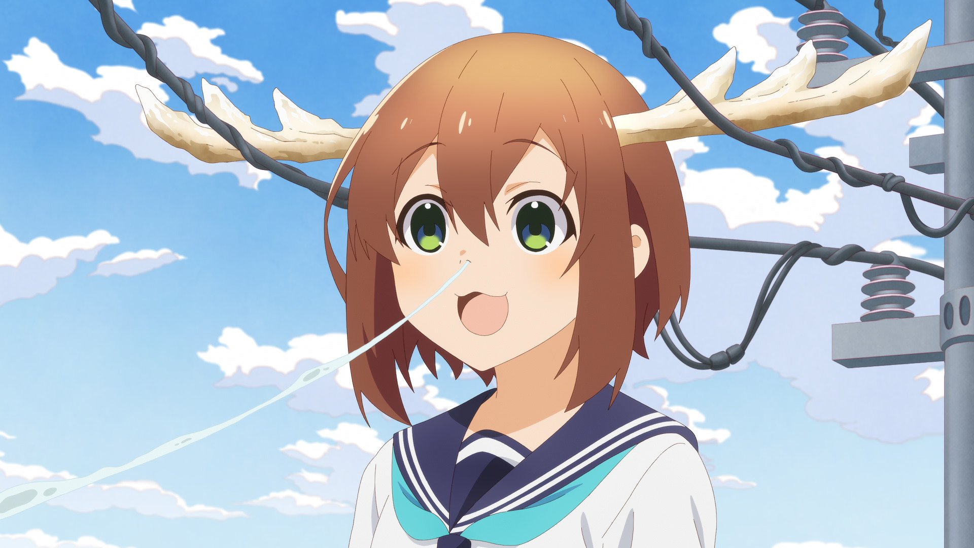 の こ たん