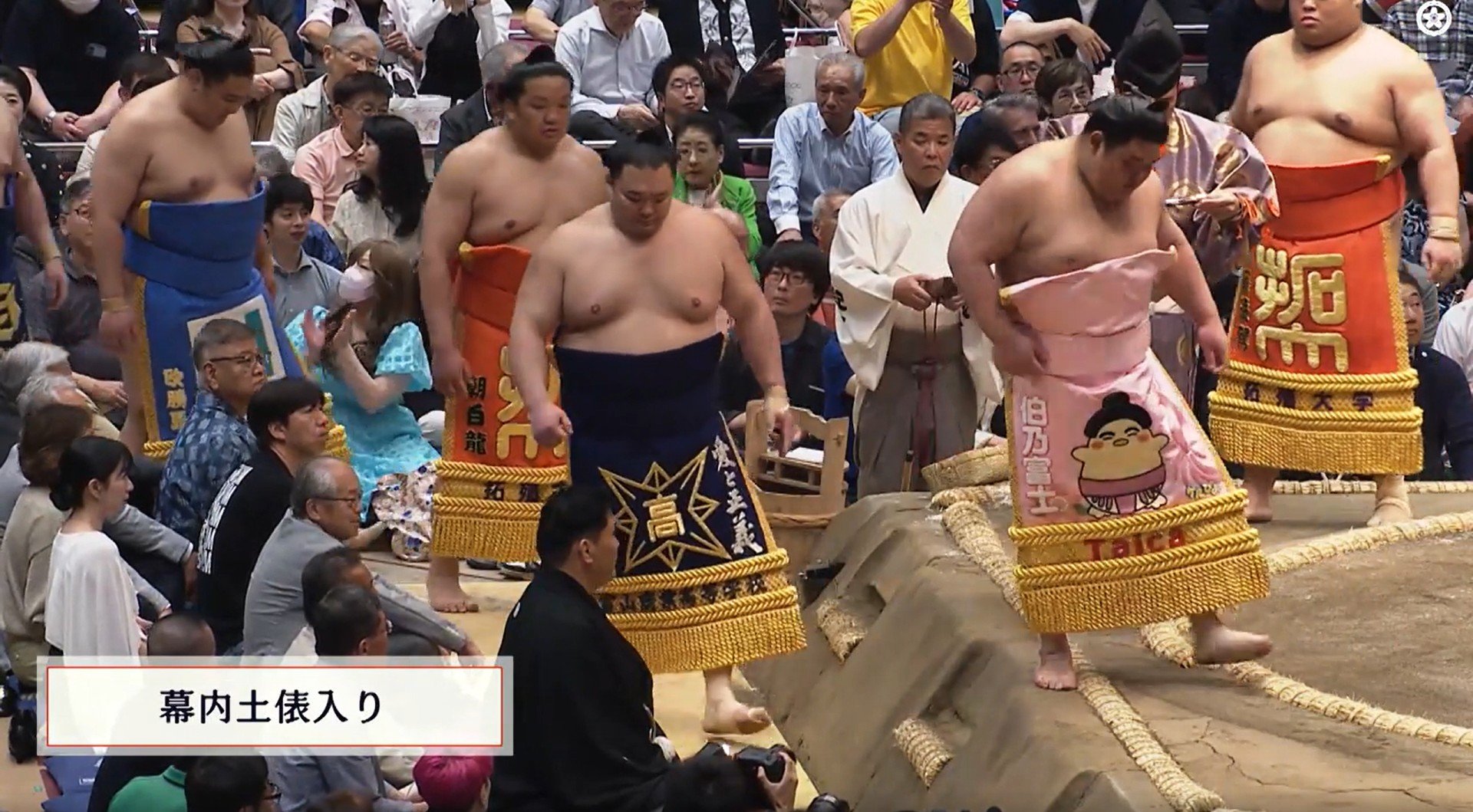 写真・画像】「この生物は何だ」伯乃富士、“異彩”を放つ化粧まわしに熱