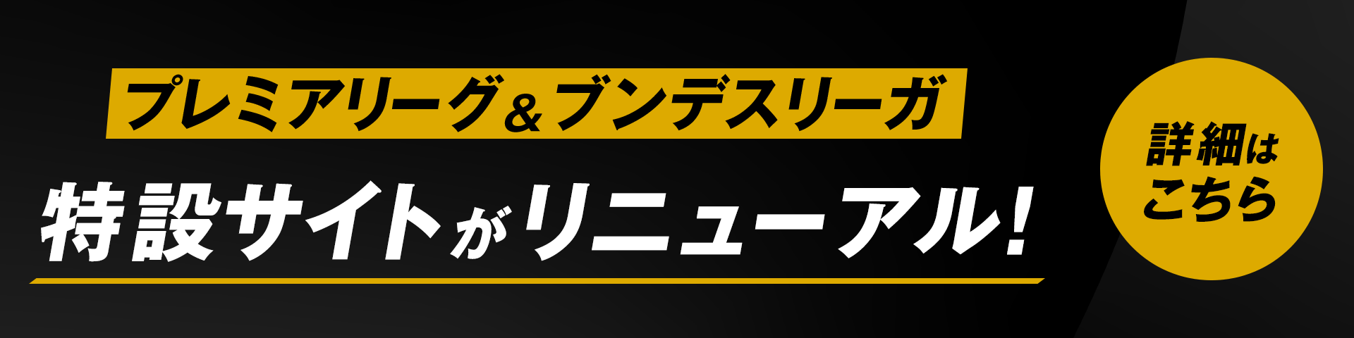 プレミアリーグ＆ブンデスリーガ特設サイトがリニューアル！