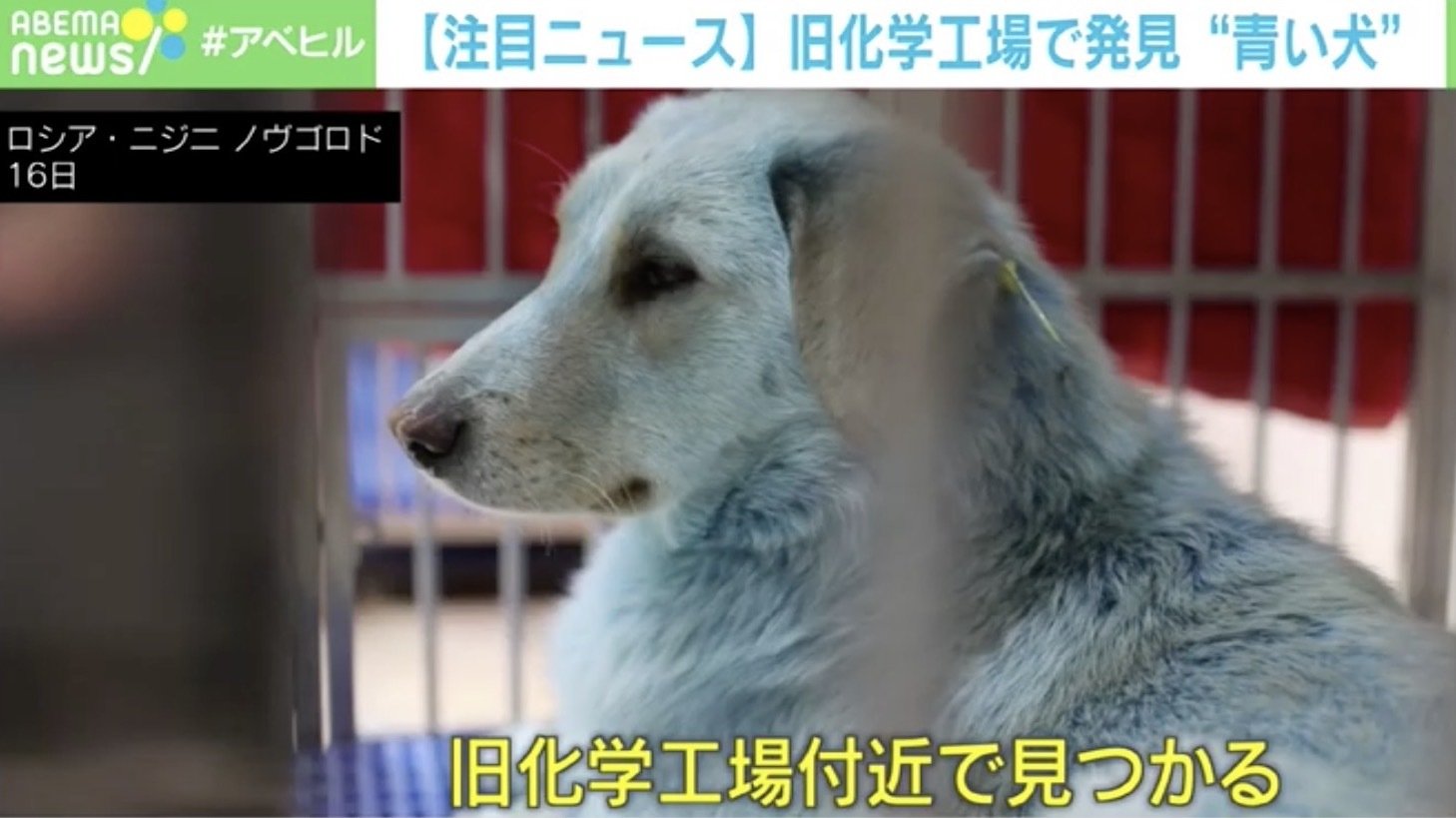 img_a75fe06874b71ae047bb07e67e