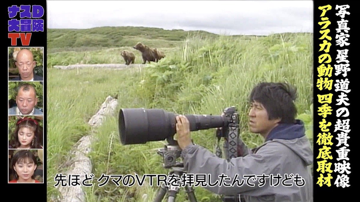 星野道夫ヒグマ
