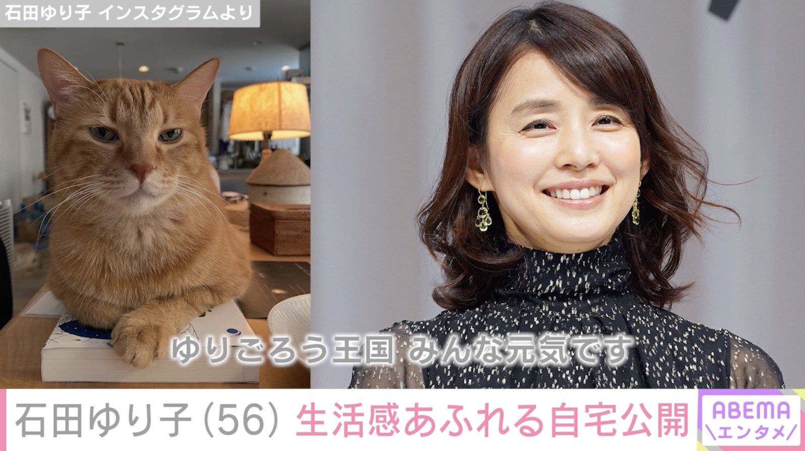 写真・画像】石田ゆり子（56）、生活雑貨があふれる自宅で愛猫と戯れる