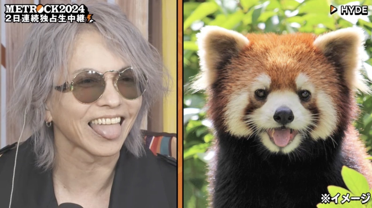 写真・画像】HYDE、レッサーパンダ愛炸裂で顔マネ披露！動物園での