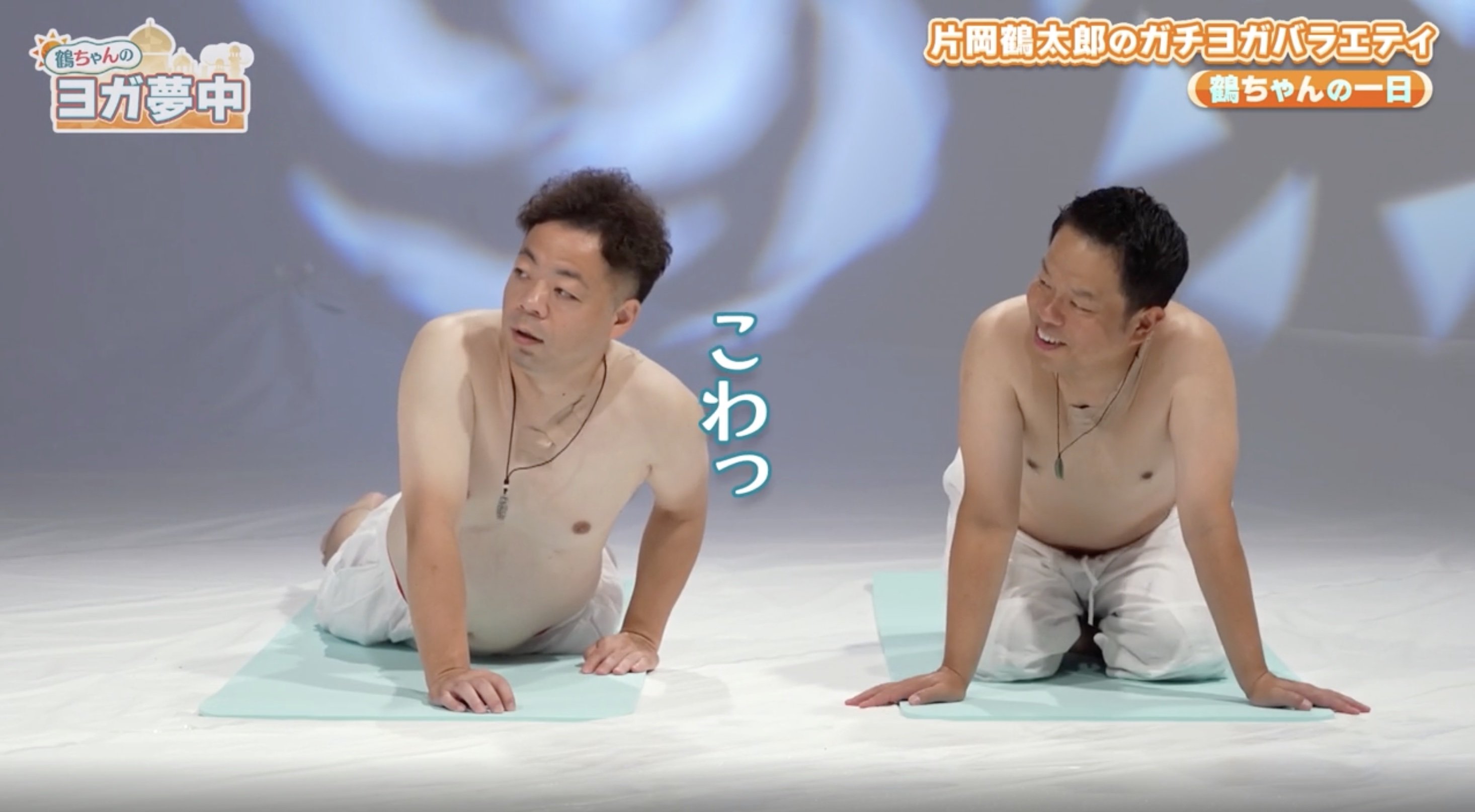 片岡 鶴太郎 1 日 の スケジュール