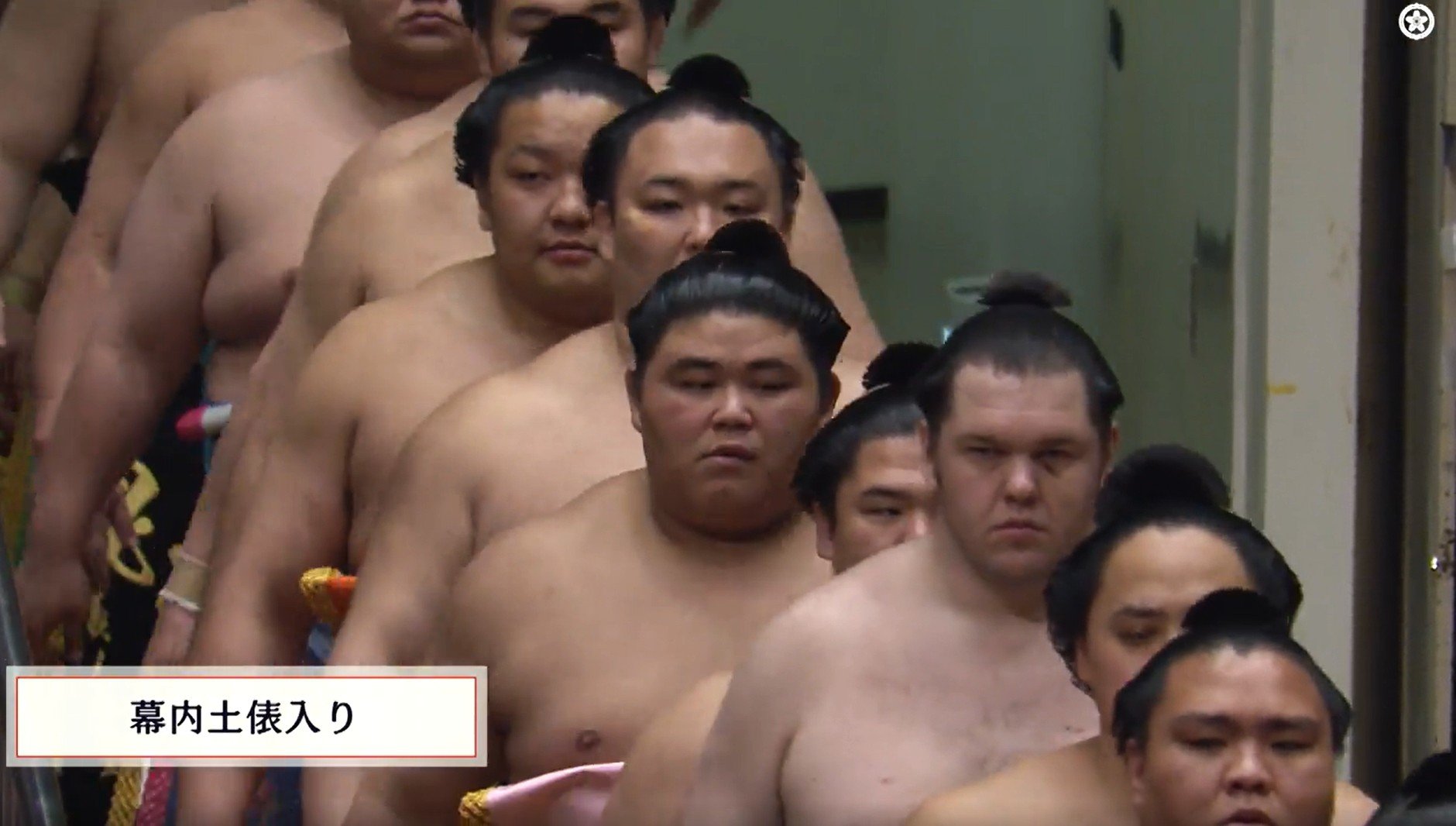 写真・画像】「この生物は何だ」伯乃富士、“異彩”を放つ化粧まわしに熱